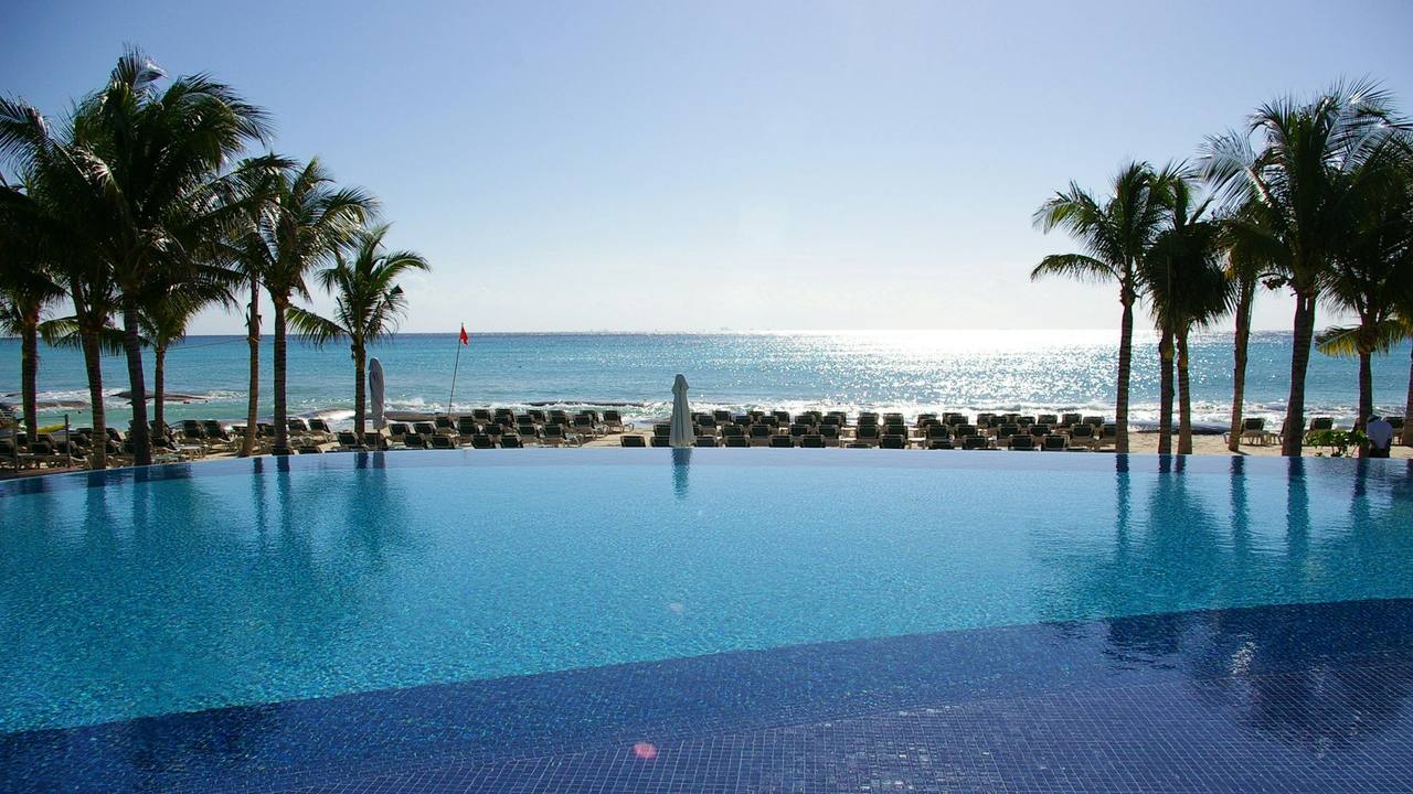 An infinity pool between palm trees, opening onto the sea