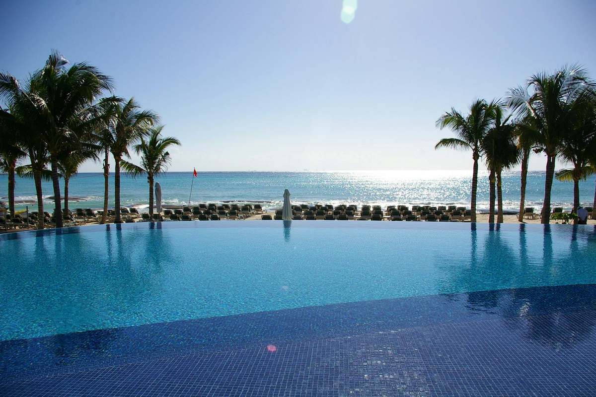 An infinity pool between palm trees, opening onto the sea