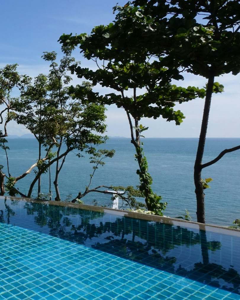 An infinity pool among trees, looking out to sea