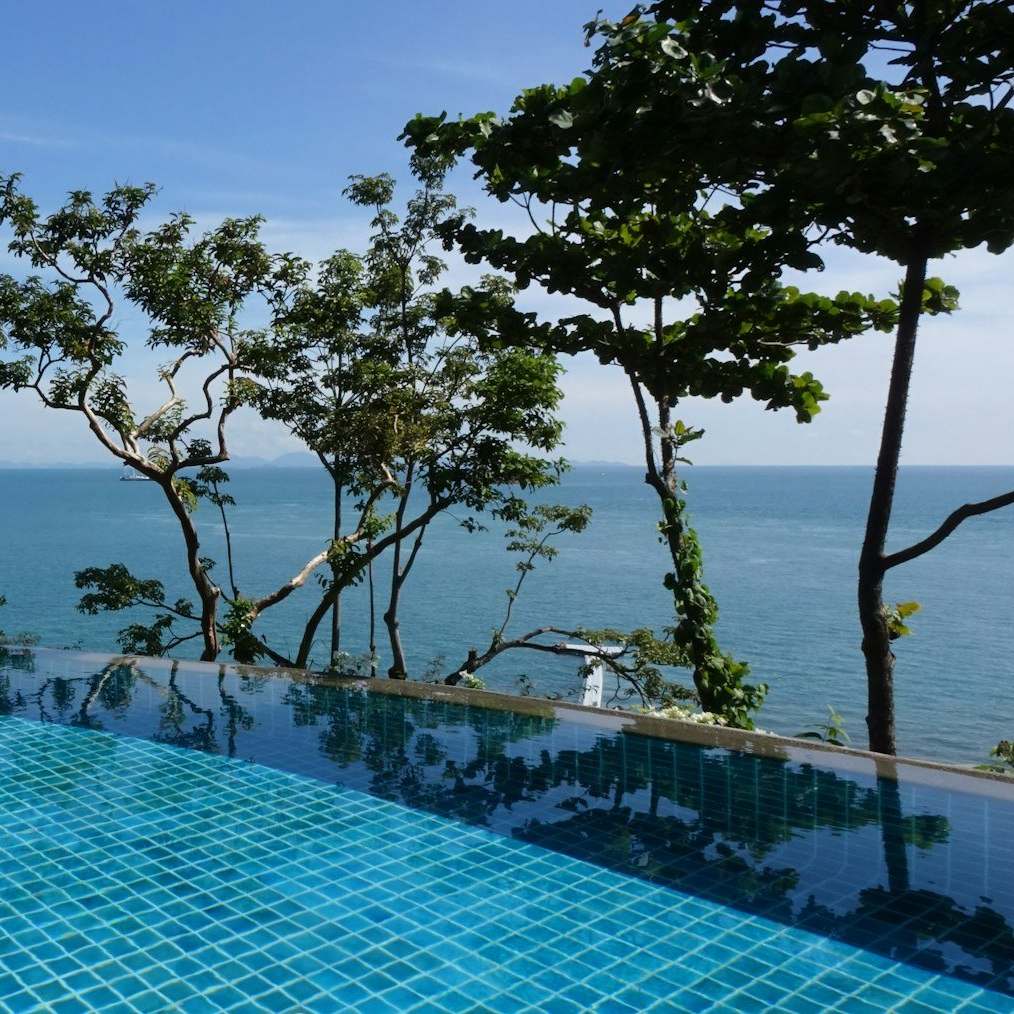 An infinity pool among trees, looking out to sea